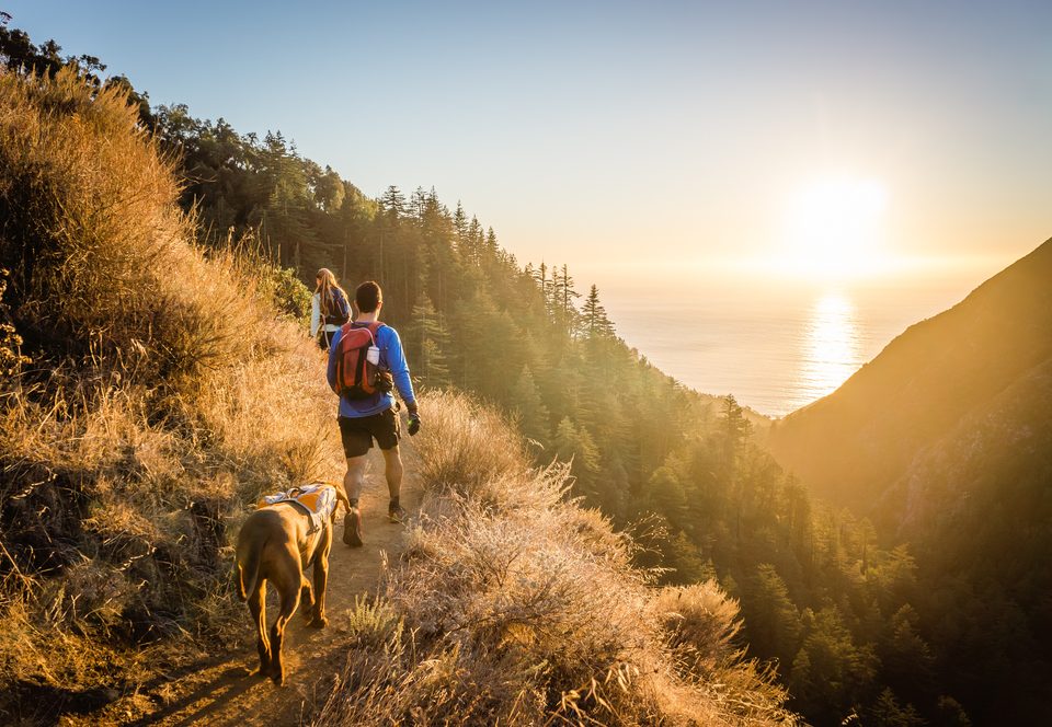 cammini italiani benefici camminare viaggi a piedi italia getfit milano